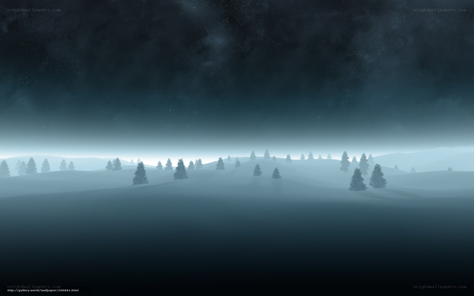 Misty Winter Landscape