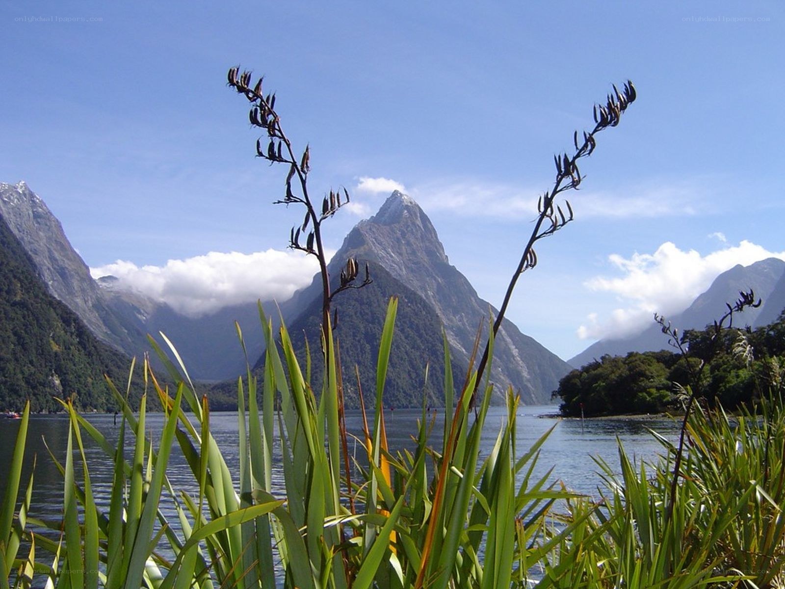 Mitre Peak at Milford Sound
