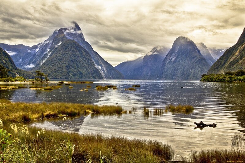 Mitre Peak in Milford Sound