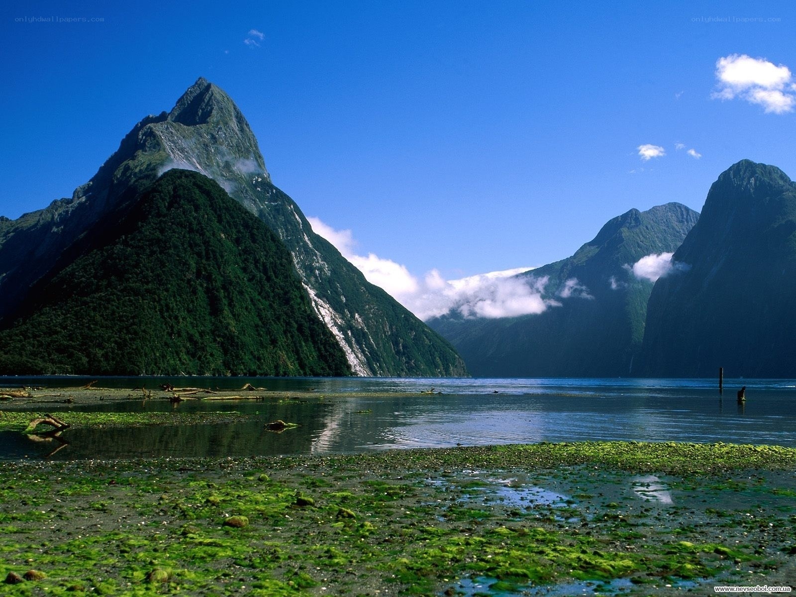 Mitre Peak in Milford Sound