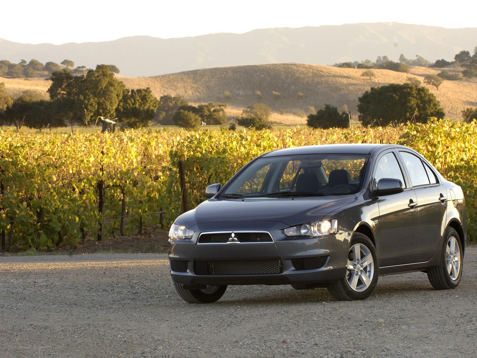 Mitsubishi Lancer in vineyard