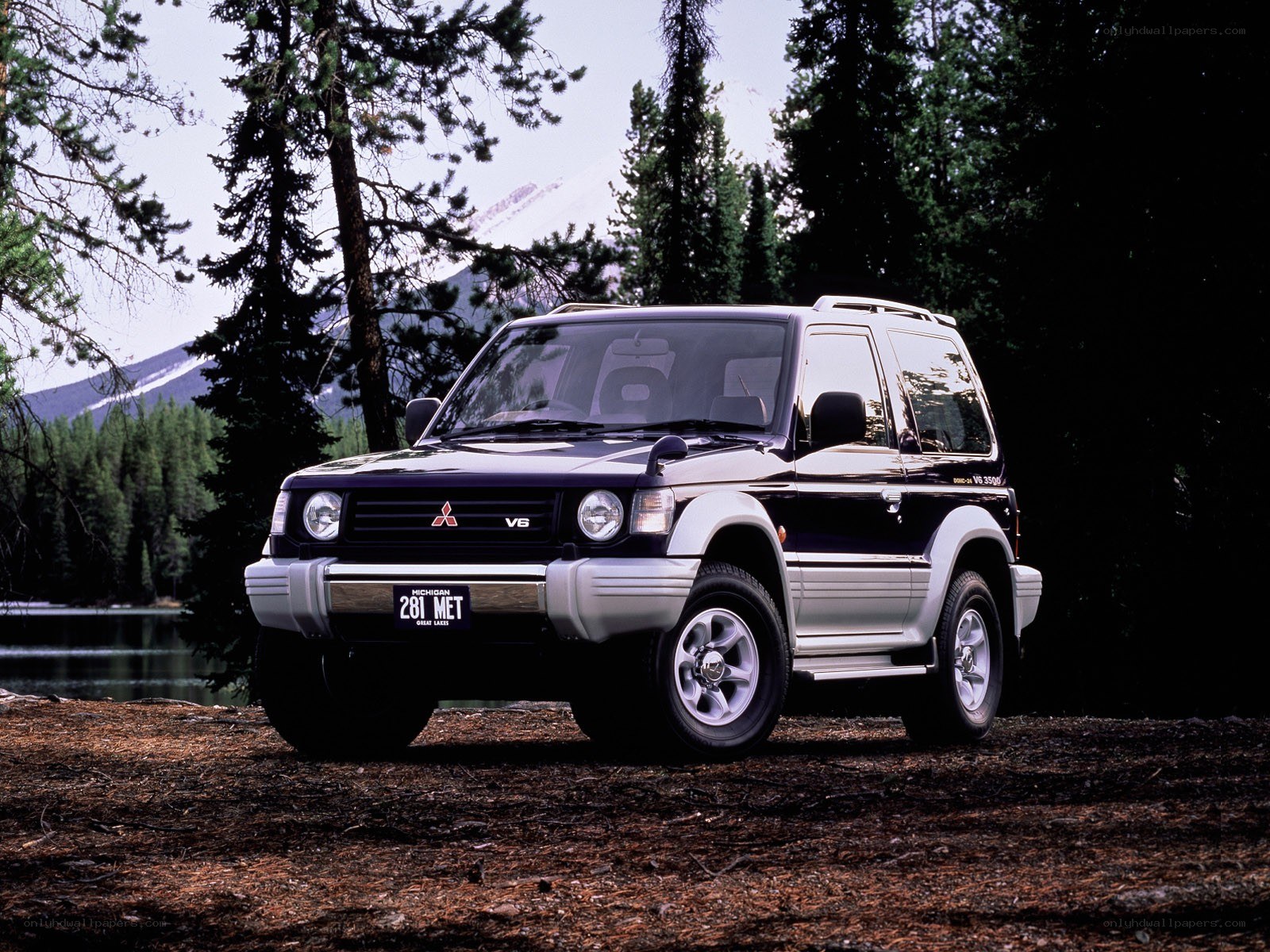 Mitsubishi Pajero in forest setting