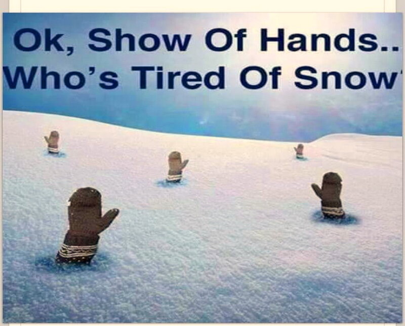 Mitten-covered Hands in Snow