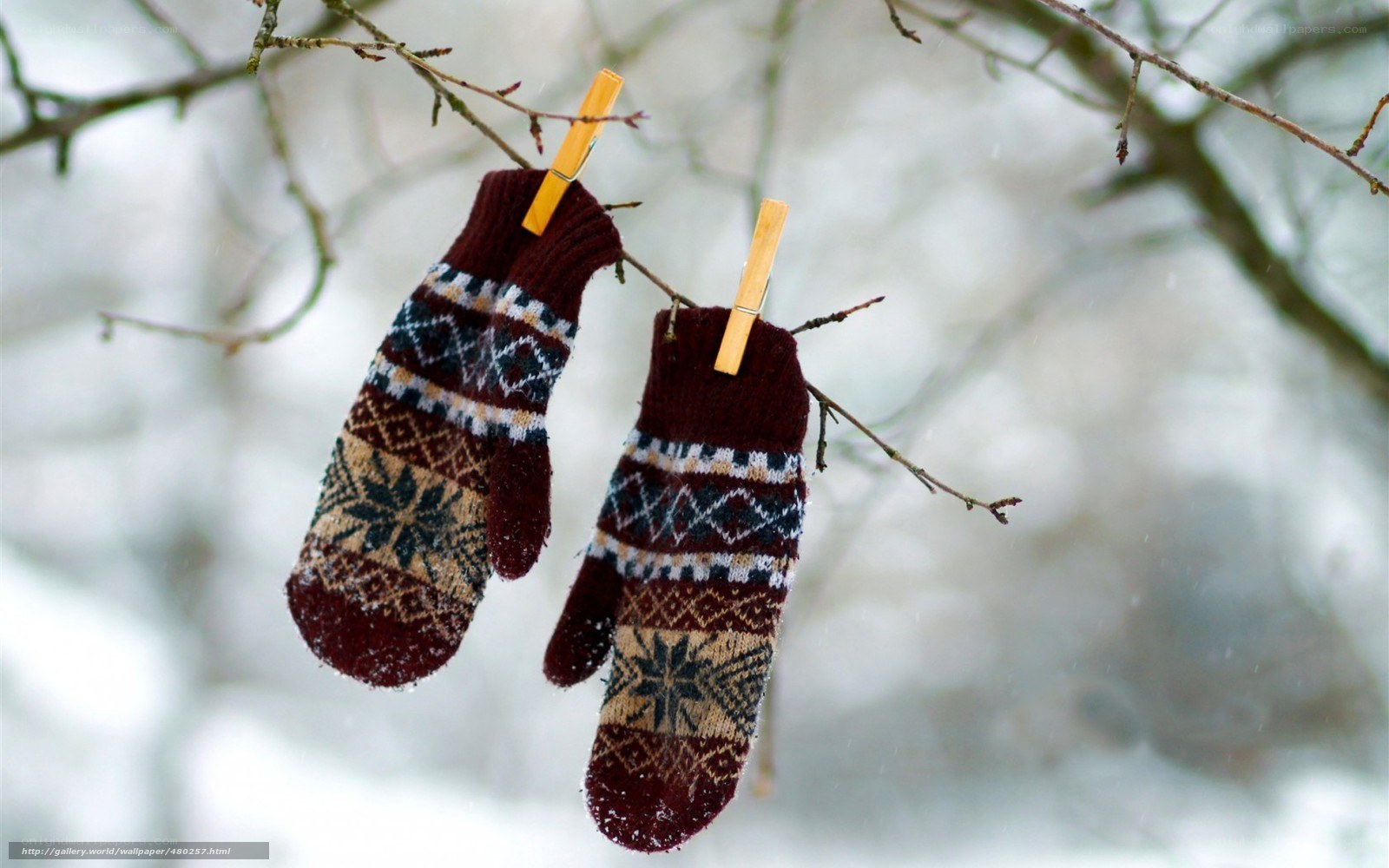 mittens hanging on a branch