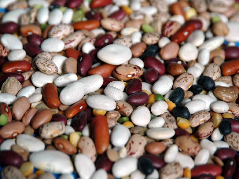 Mixed Beans in a Pile