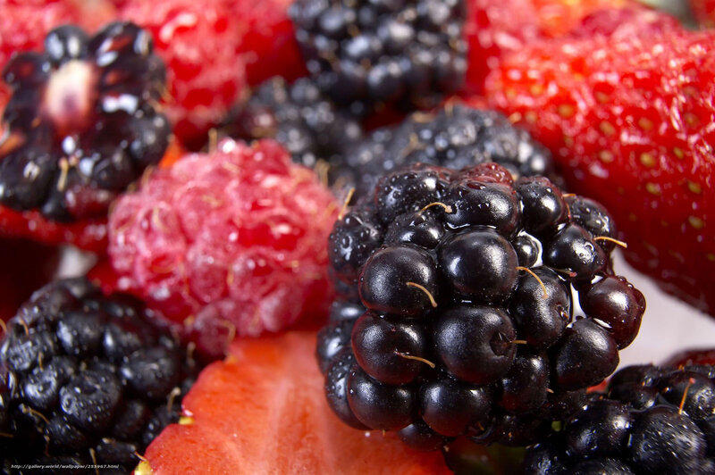 Mixed Berries Close-up
