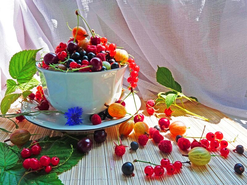 Mixed Berries in a Bowl — Red