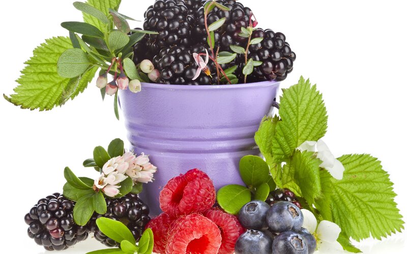Mixed Berries in a Bucket