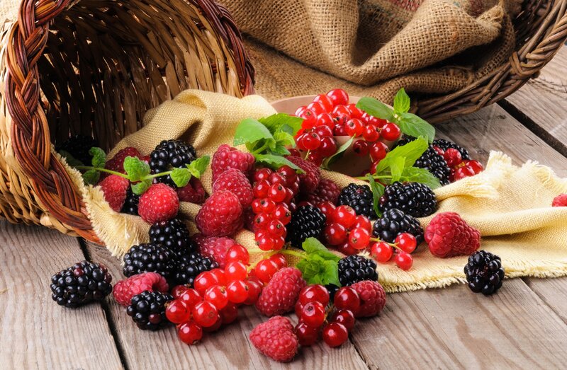 Mixed Berries in Basket — Red