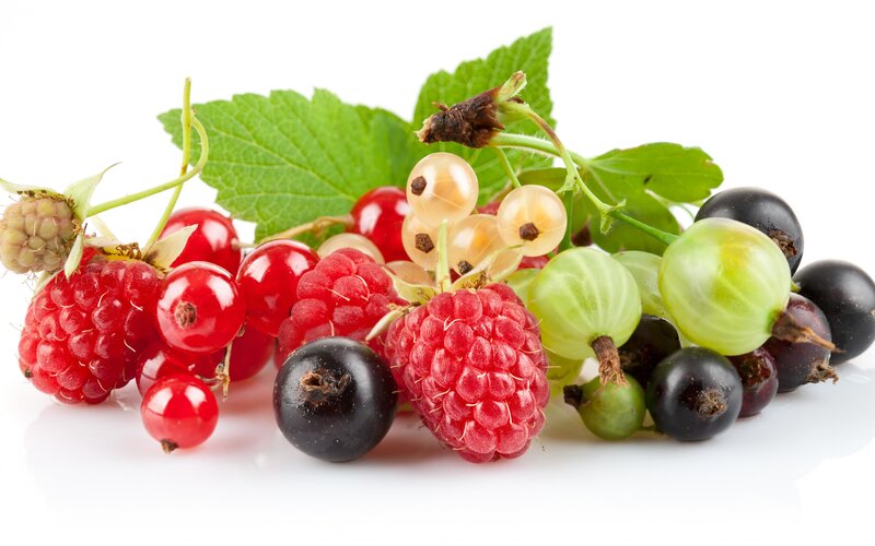 Mixed Berries on White — Red, Fresh