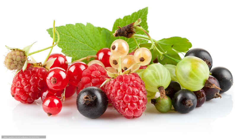 Mixed Berries with Leaves — Red, Fresh, Photograph, Stem