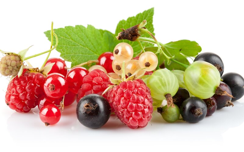 Mixed Berries with Leaves — Red, Fresh, Photograph