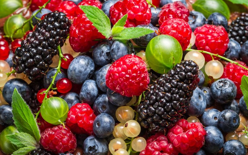 Mixed Berries with Mint — Red