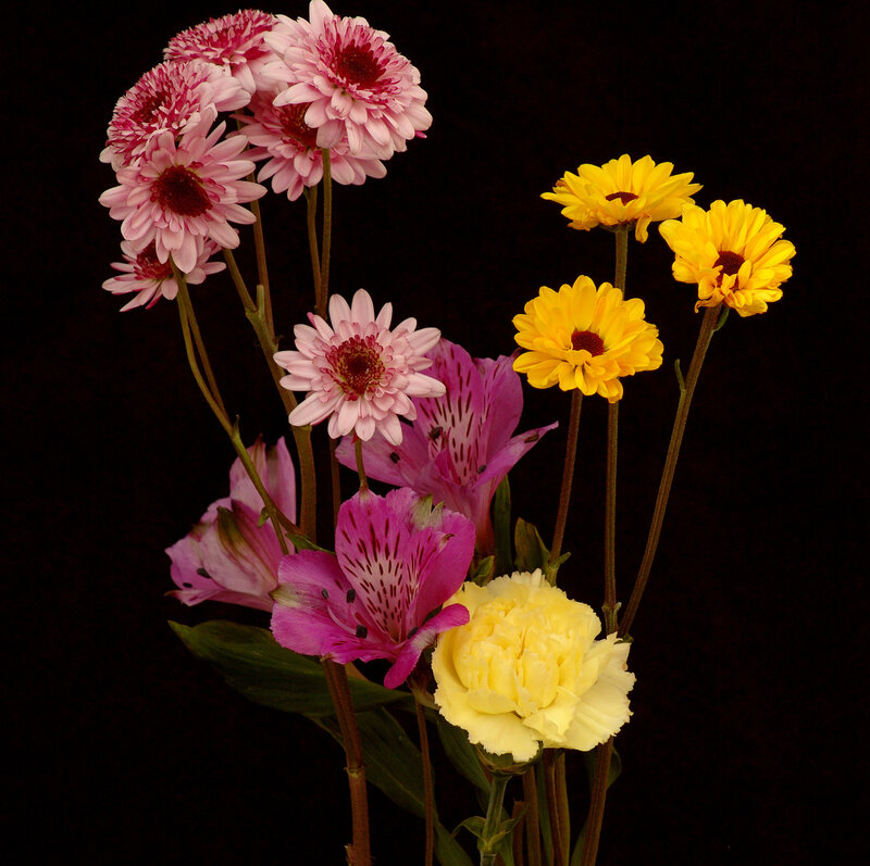 Mixed Flower Bouquet — Pink, Dramatic
