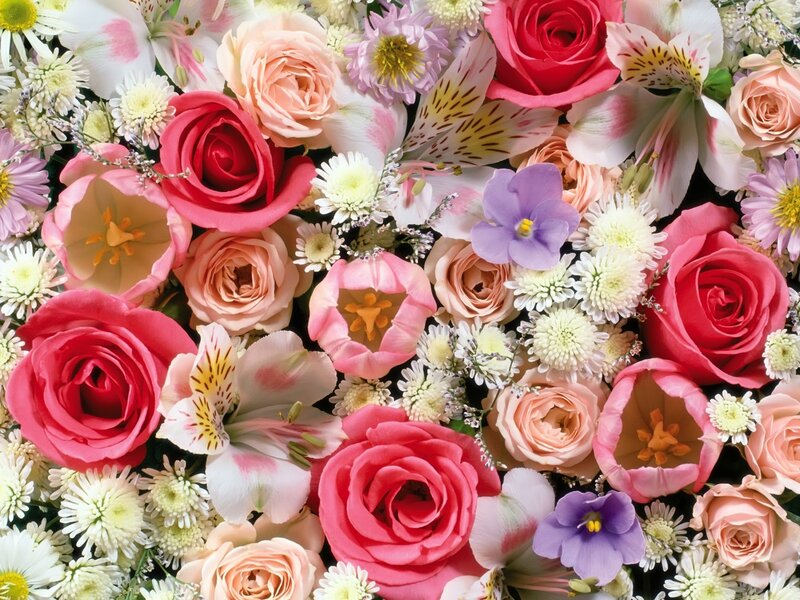 Mixed Flower Bouquet — Pink, Festive