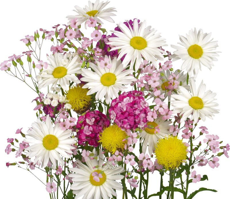 Mixed Flower Bouquet — White, Bright