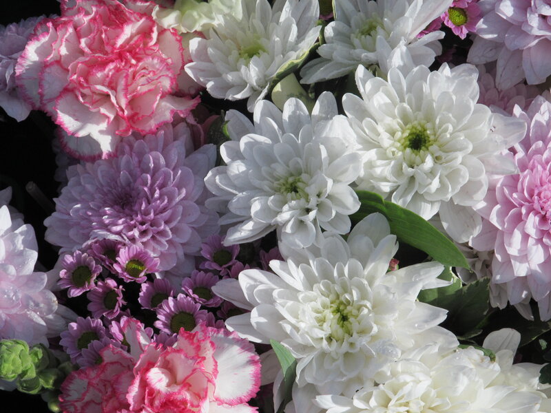 Mixed Flower Bouquet — White, Calm, Afternoon