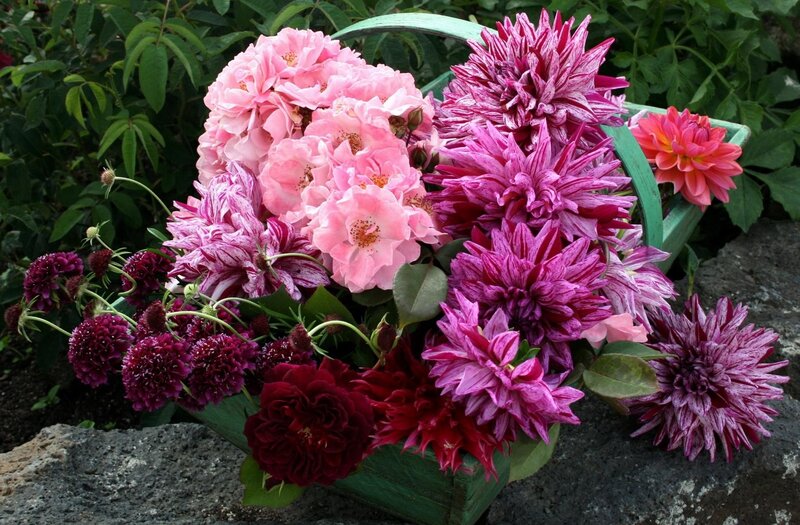 Mixed Flowers in Basket