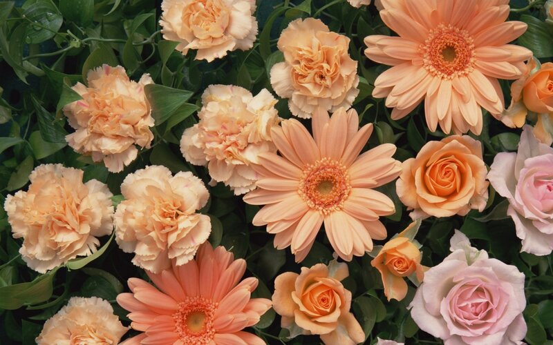 Mixed Peach Flowers