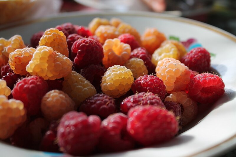 Mixed Raspberries in Bowl