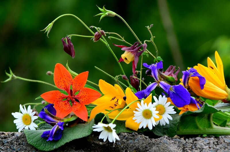 Mixed Wildflowers