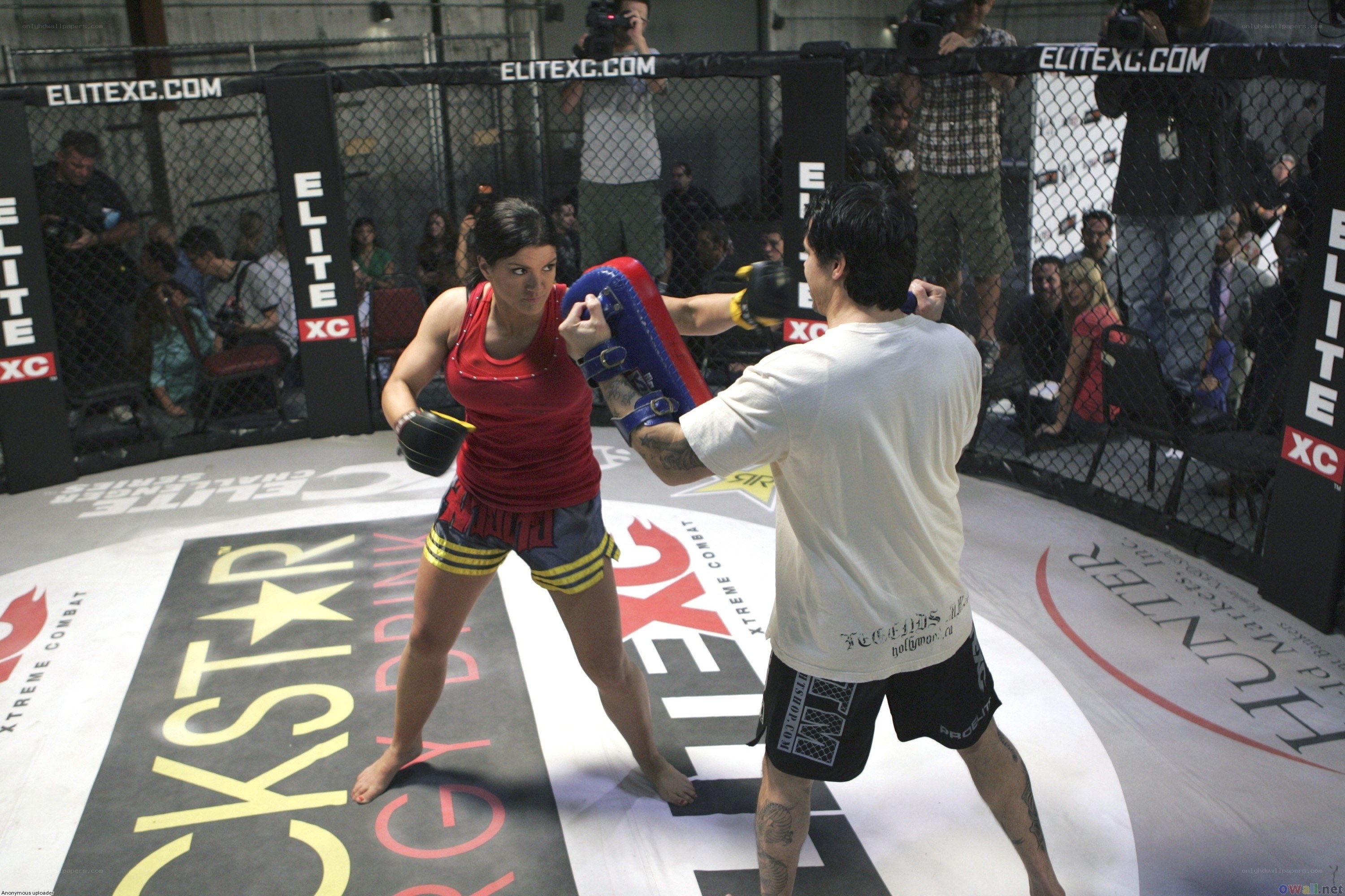 MMA training session in cage