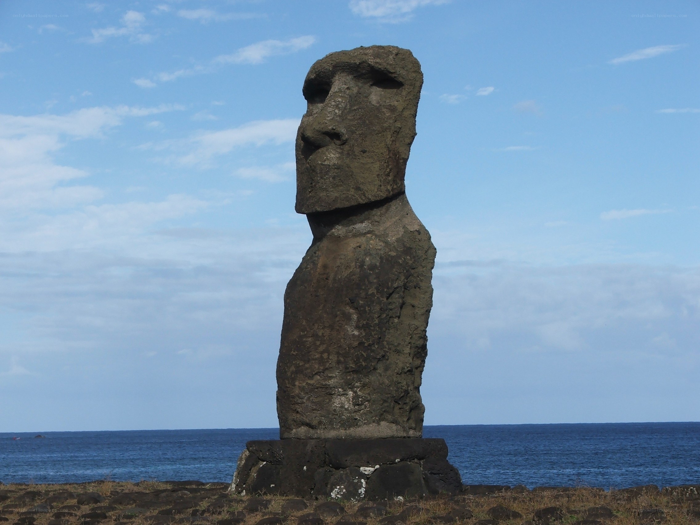 Moai statue on Easter Island