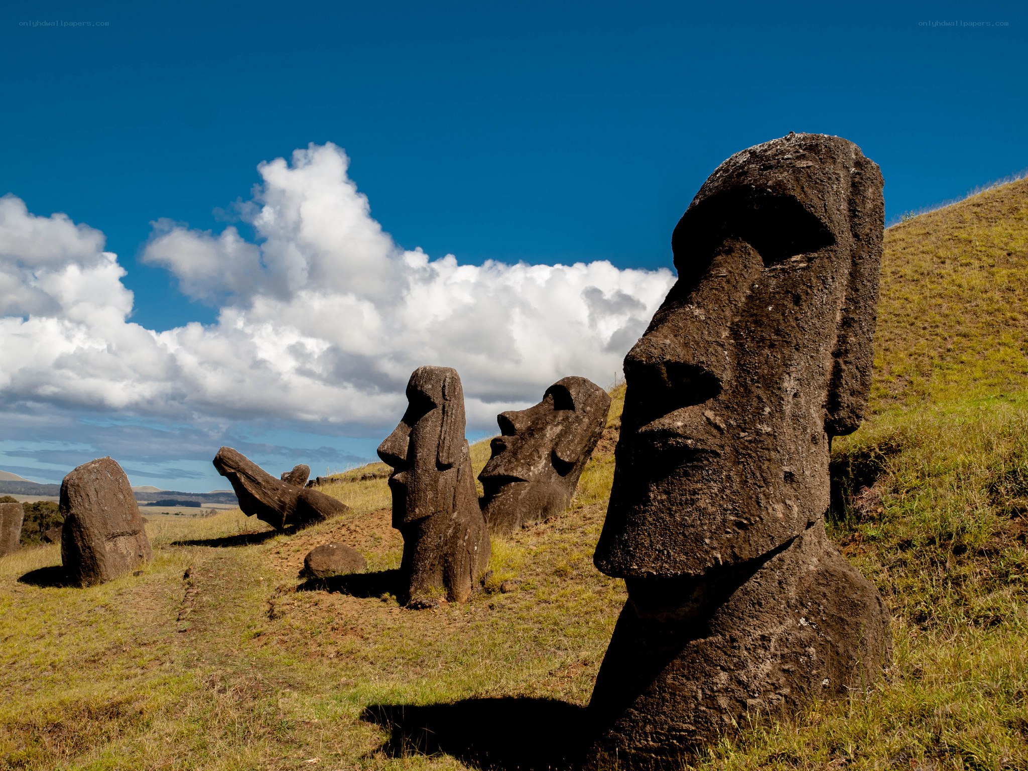 Moai statues on Easter Island