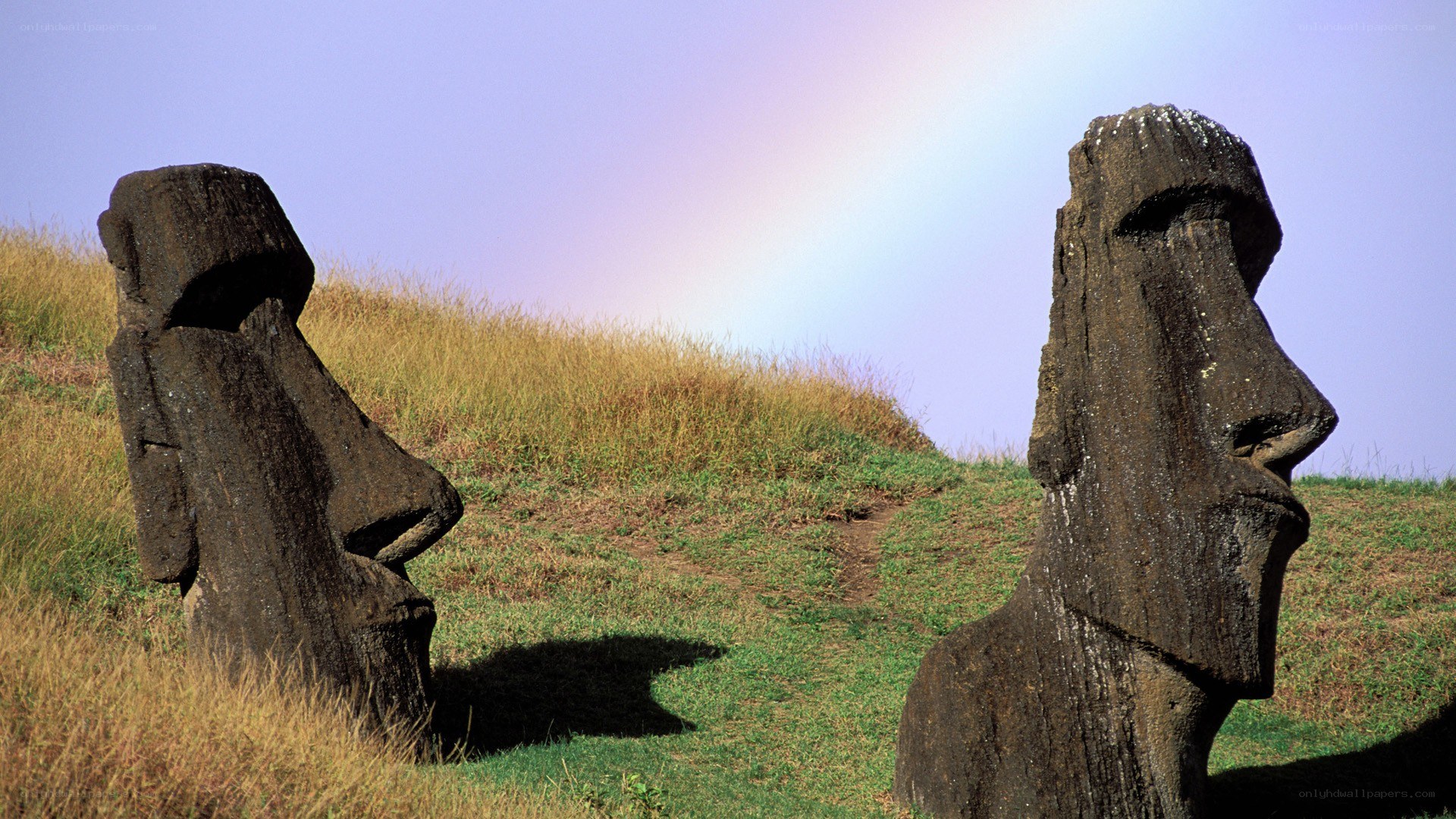 Moai statues with rainbow