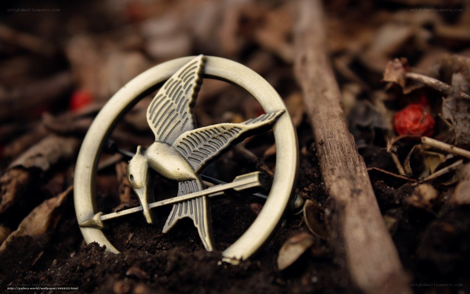 Mockingjay pin in forest