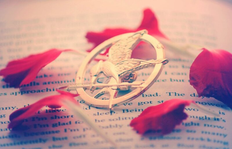 Mockingjay Pin on Book