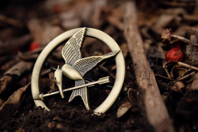Mockingjay Pin on Ground — Brown