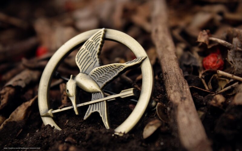 Mockingjay Pin on Ground