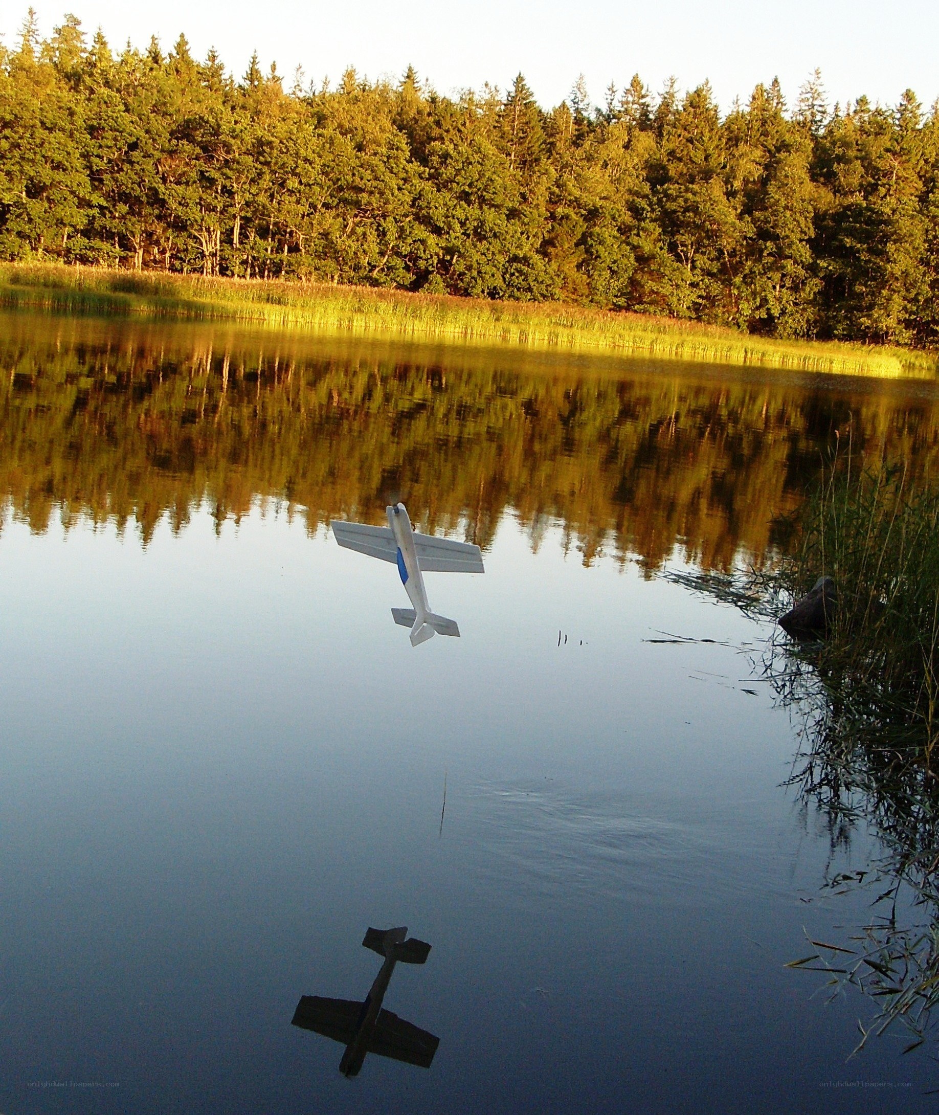 model airplane over a lake