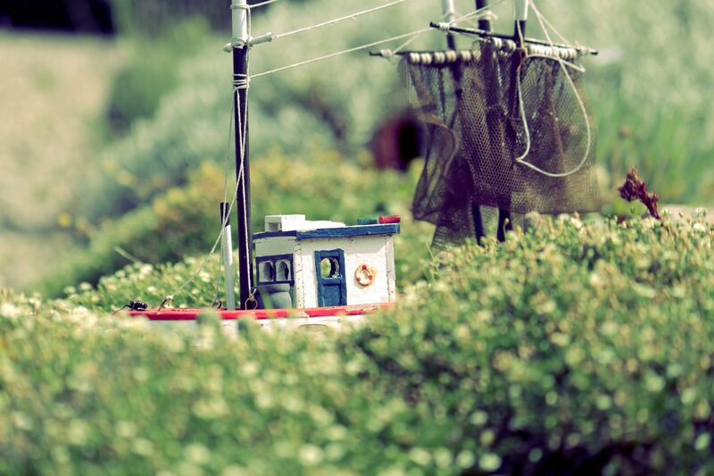model fishing boat in garden
