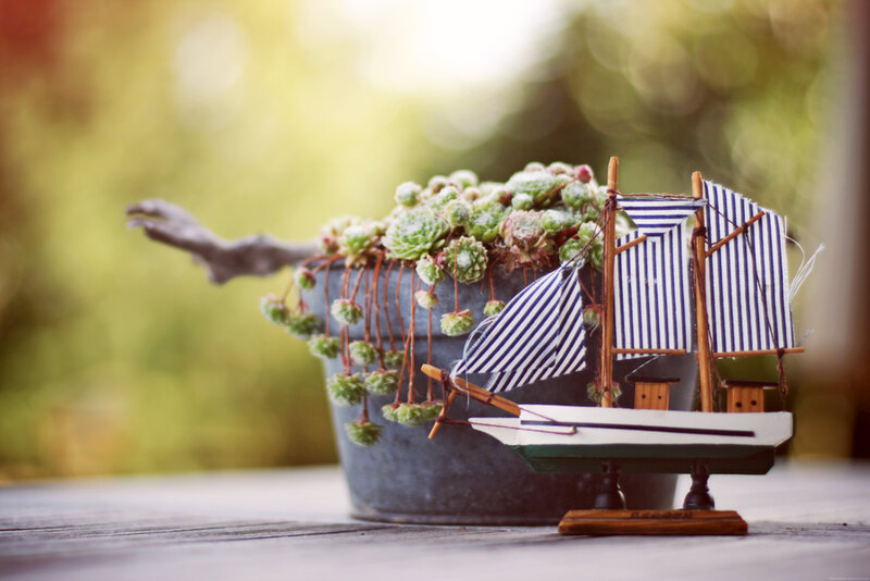 Model Sailboat in Planter