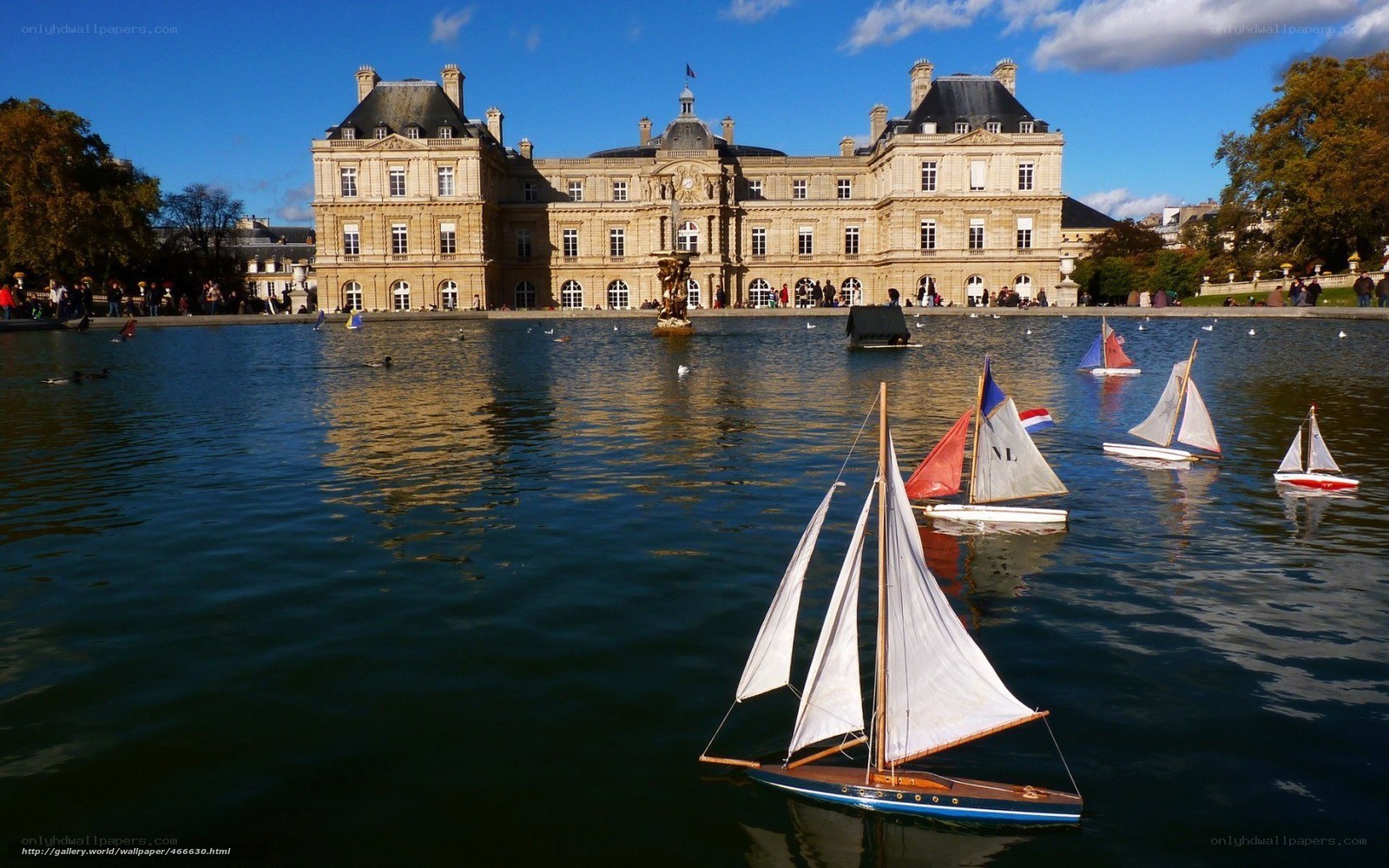 Model sailboats on a pond