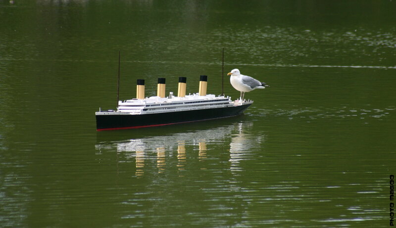 Model Ship with Seagull