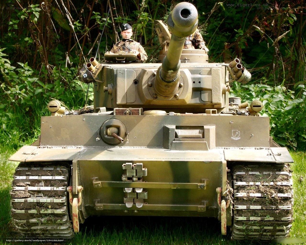 model tank in grass