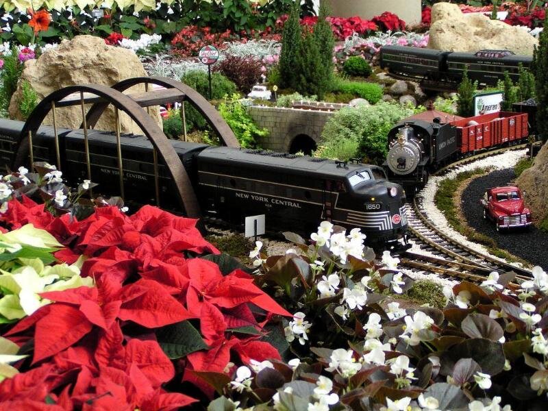 Model Train Display