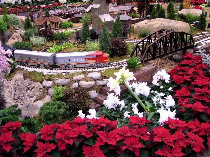 Model Train on Display