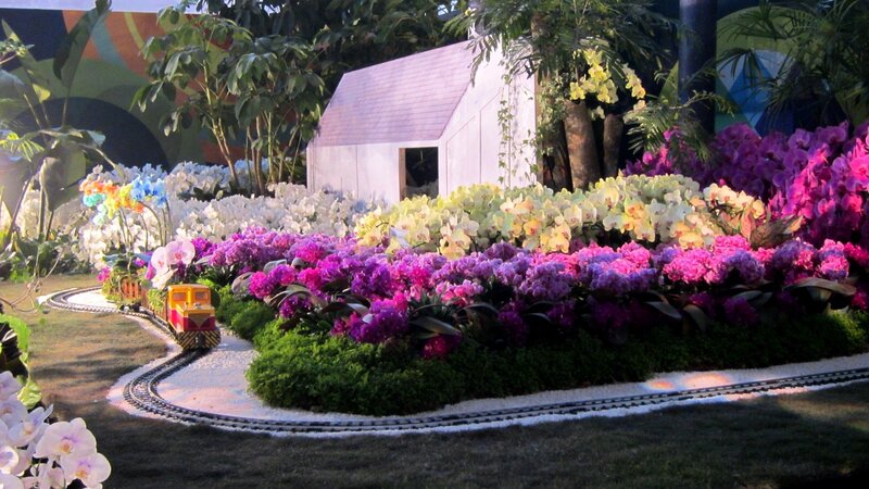 Model Train with Flowers