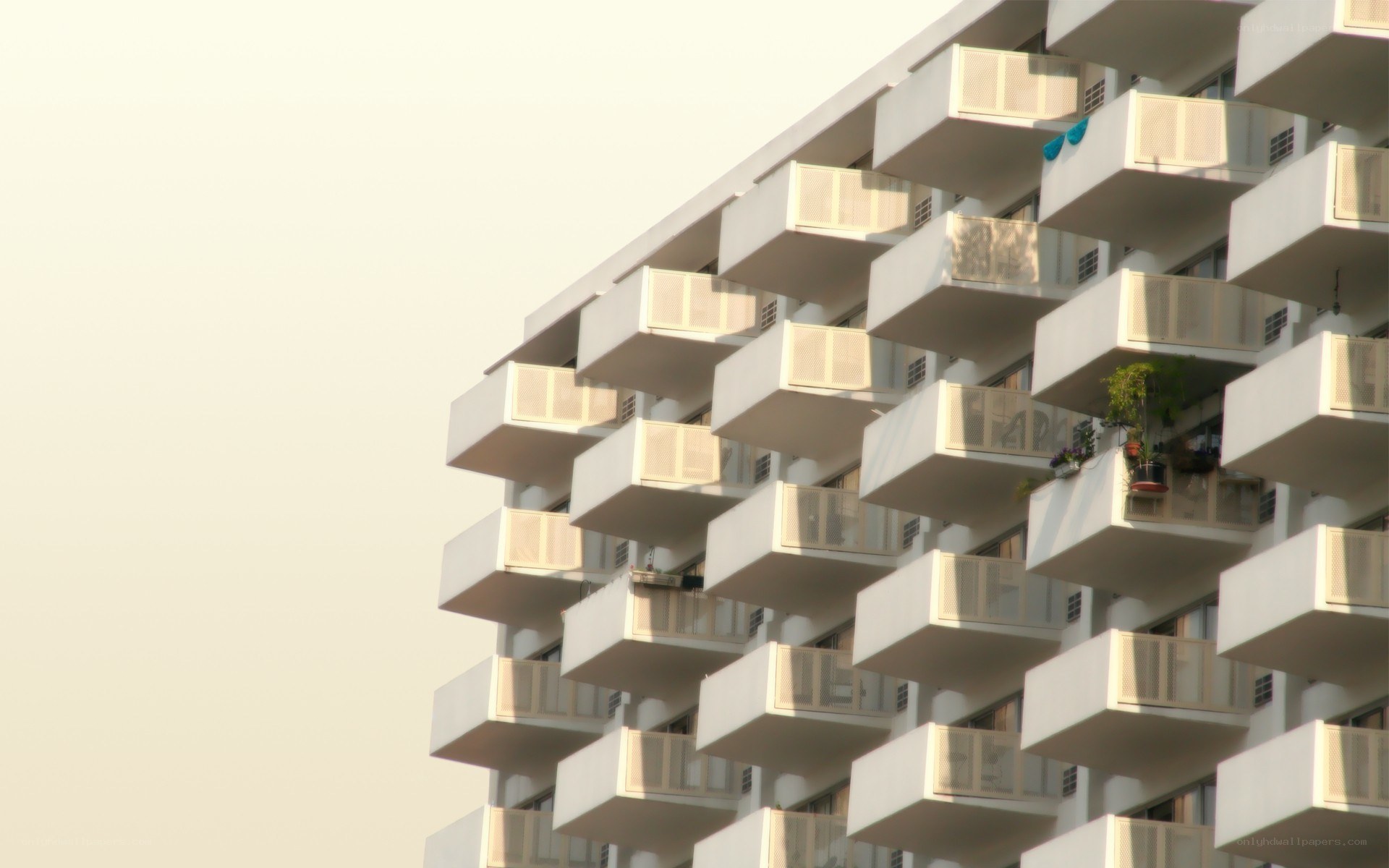 Modern apartment building facade
