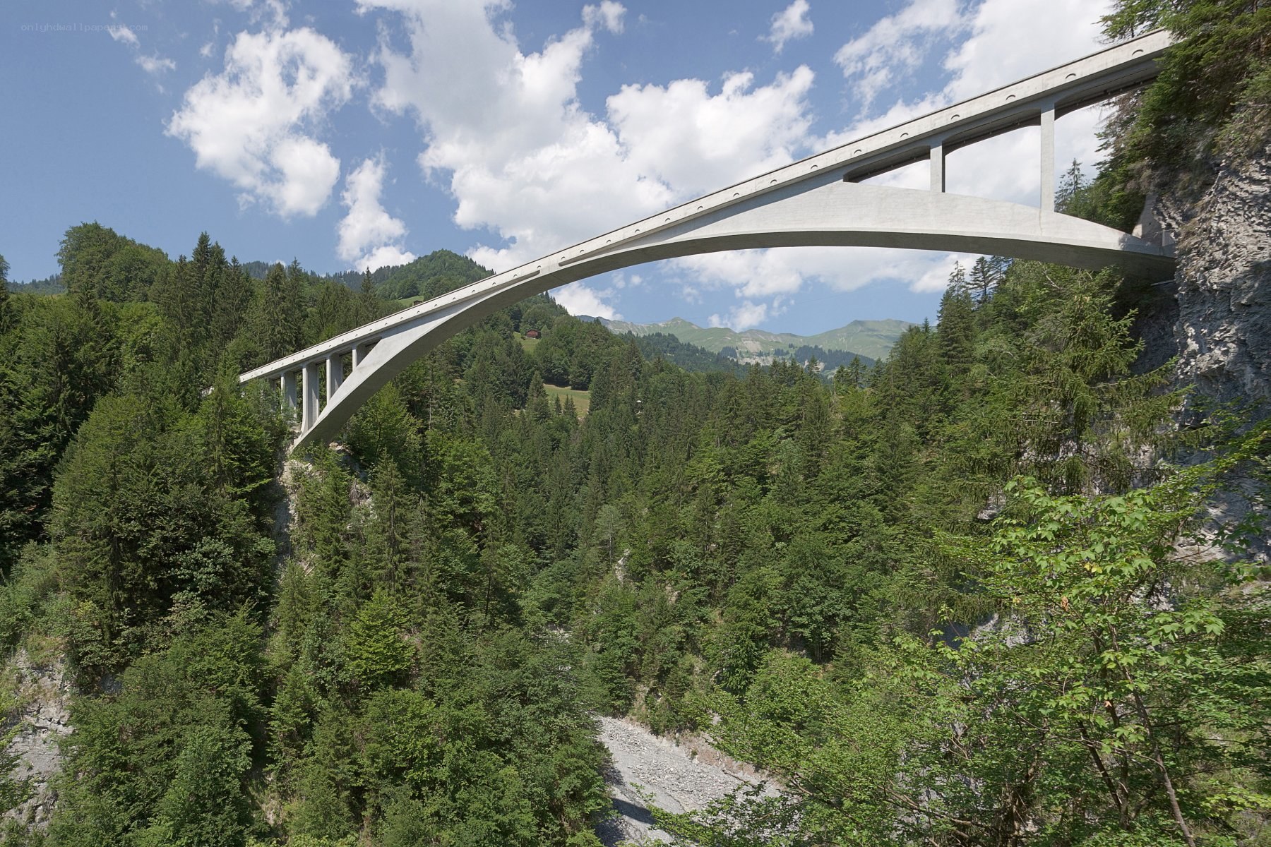 modern arch bridge in a forested valley