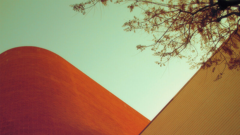 Modern architecture and tree branches