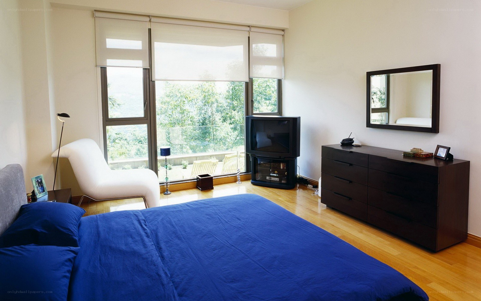 Modern bedroom with blue bedding