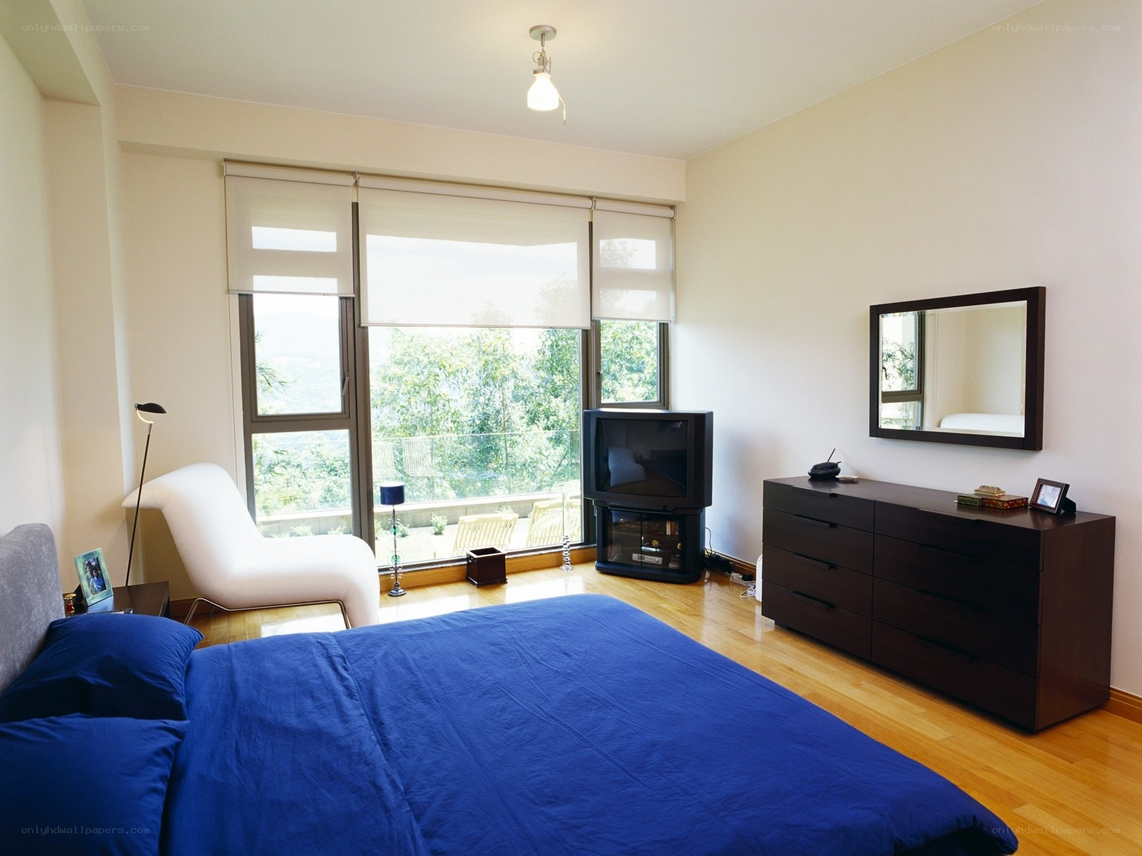 Modern bedroom with blue bedding