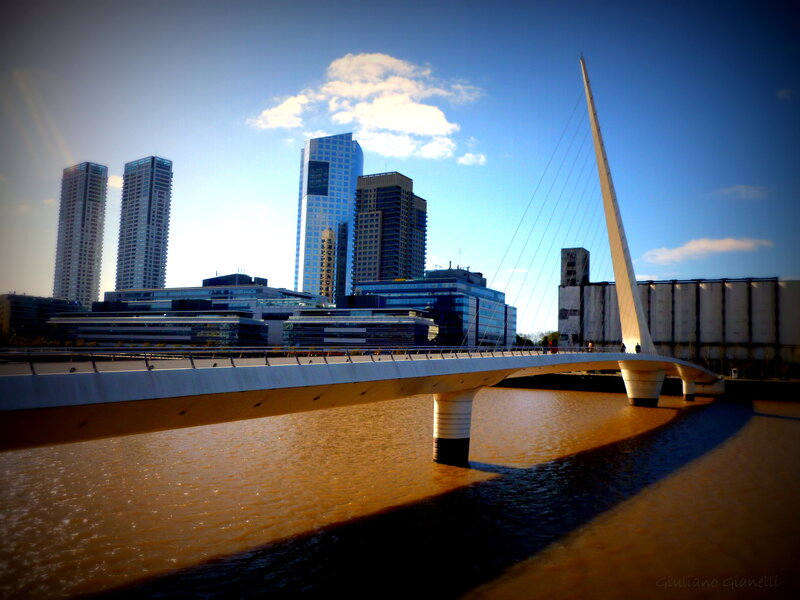 Modern Bridge and Skyscrapers