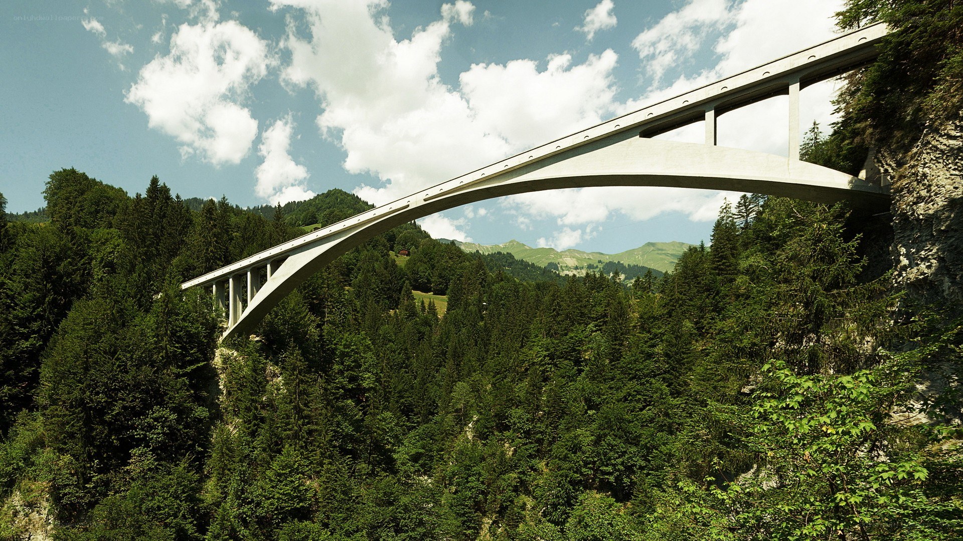 modern bridge in a forested valley