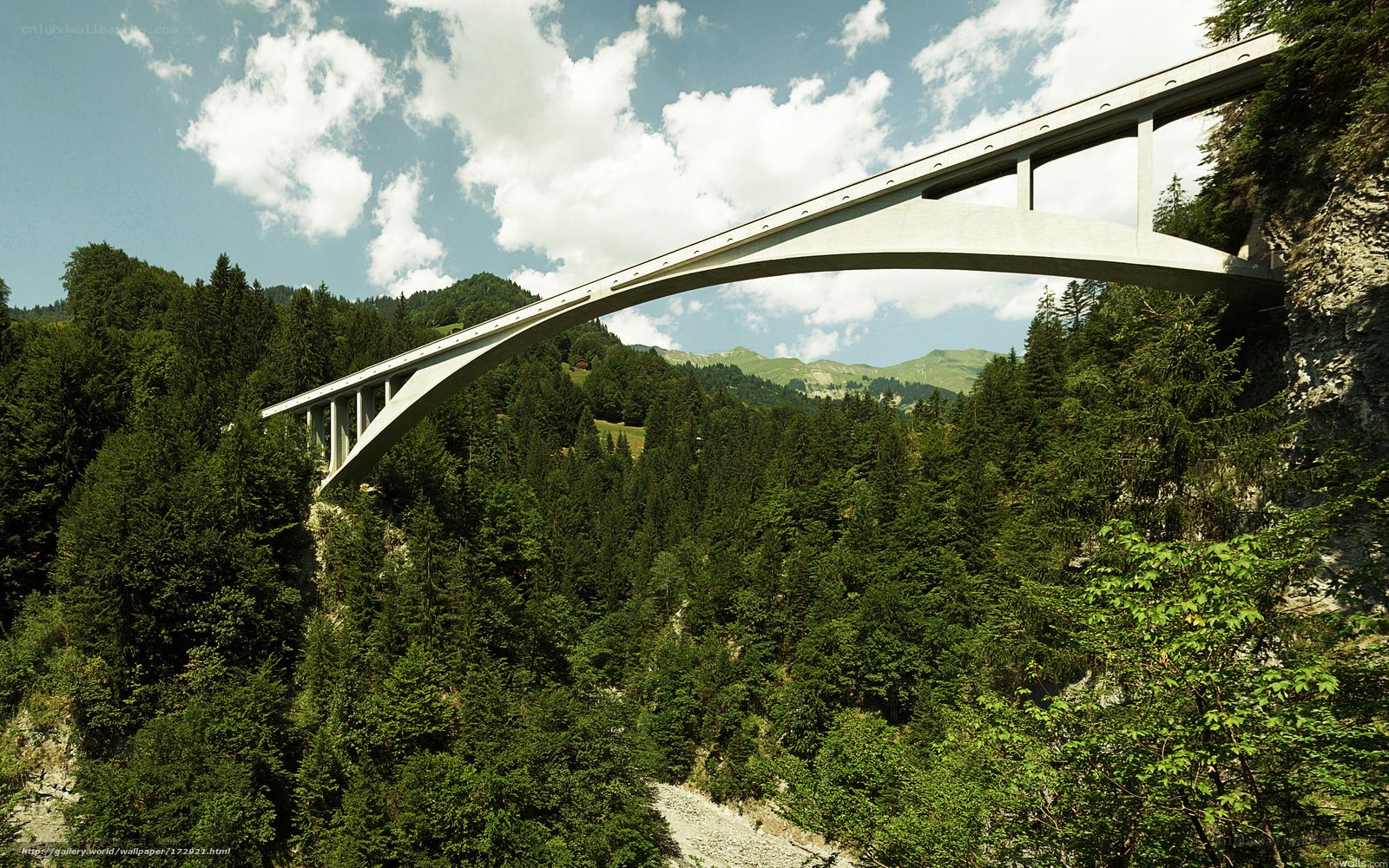 Modern bridge in a forested valley
